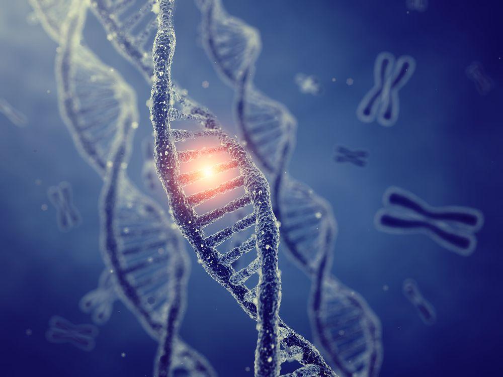 genetics